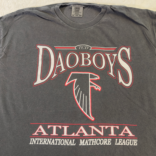 Falcons • tee