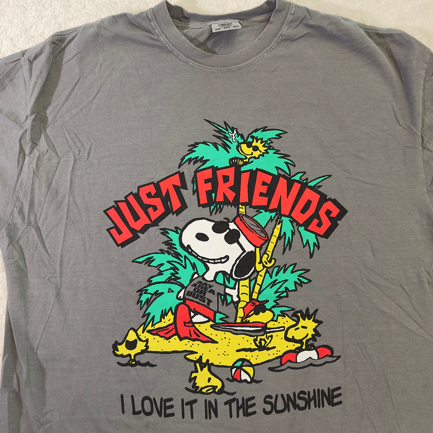 JUST FRIENDS • tee